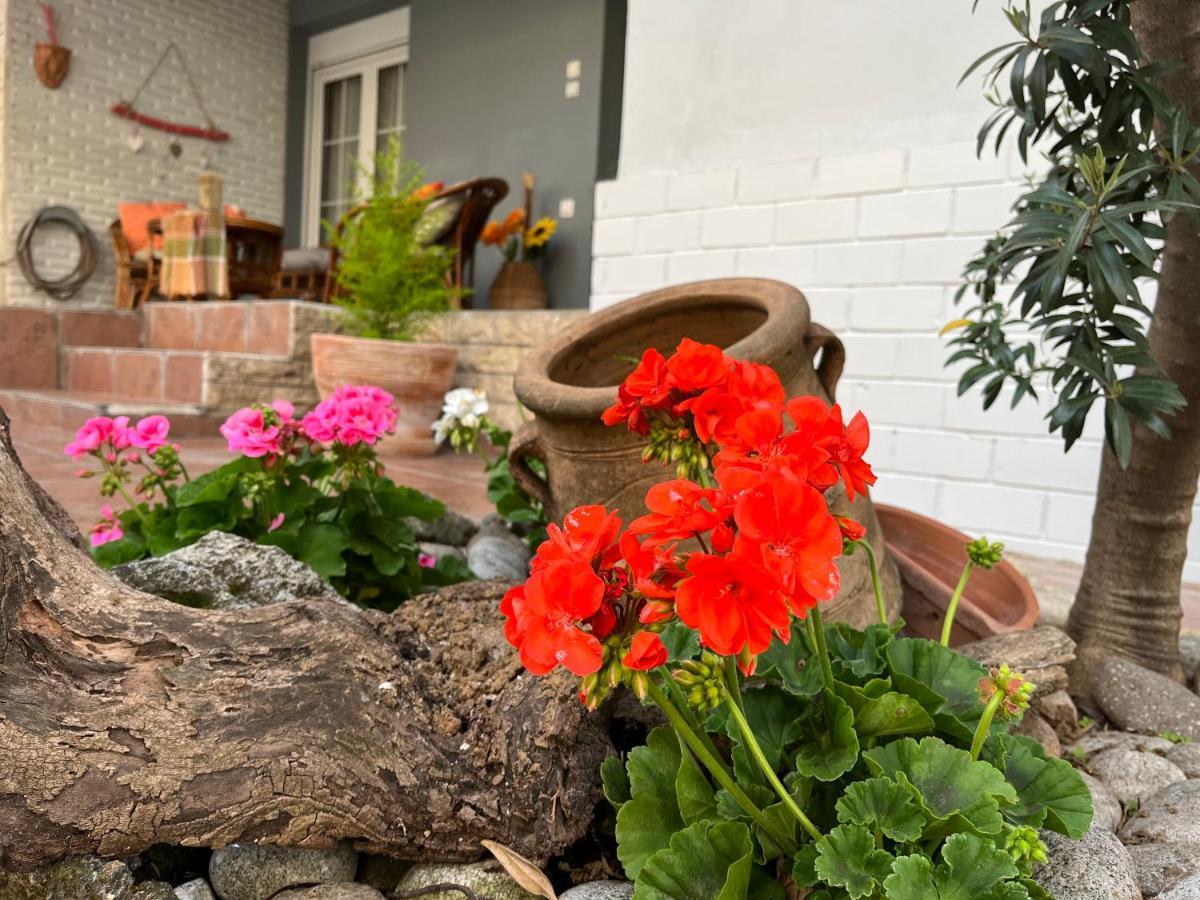 Electra Garden House 度假居 Nea Moudania